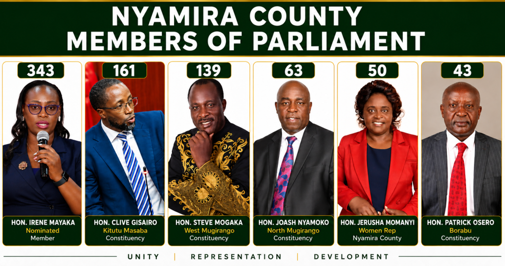 Nyamira County MPs and Woman Representative ranked by parliamentary contributions, with Irene Mayaka leadingRepresentative ranked by parliamentary contributions, with Irene Mayaka leading